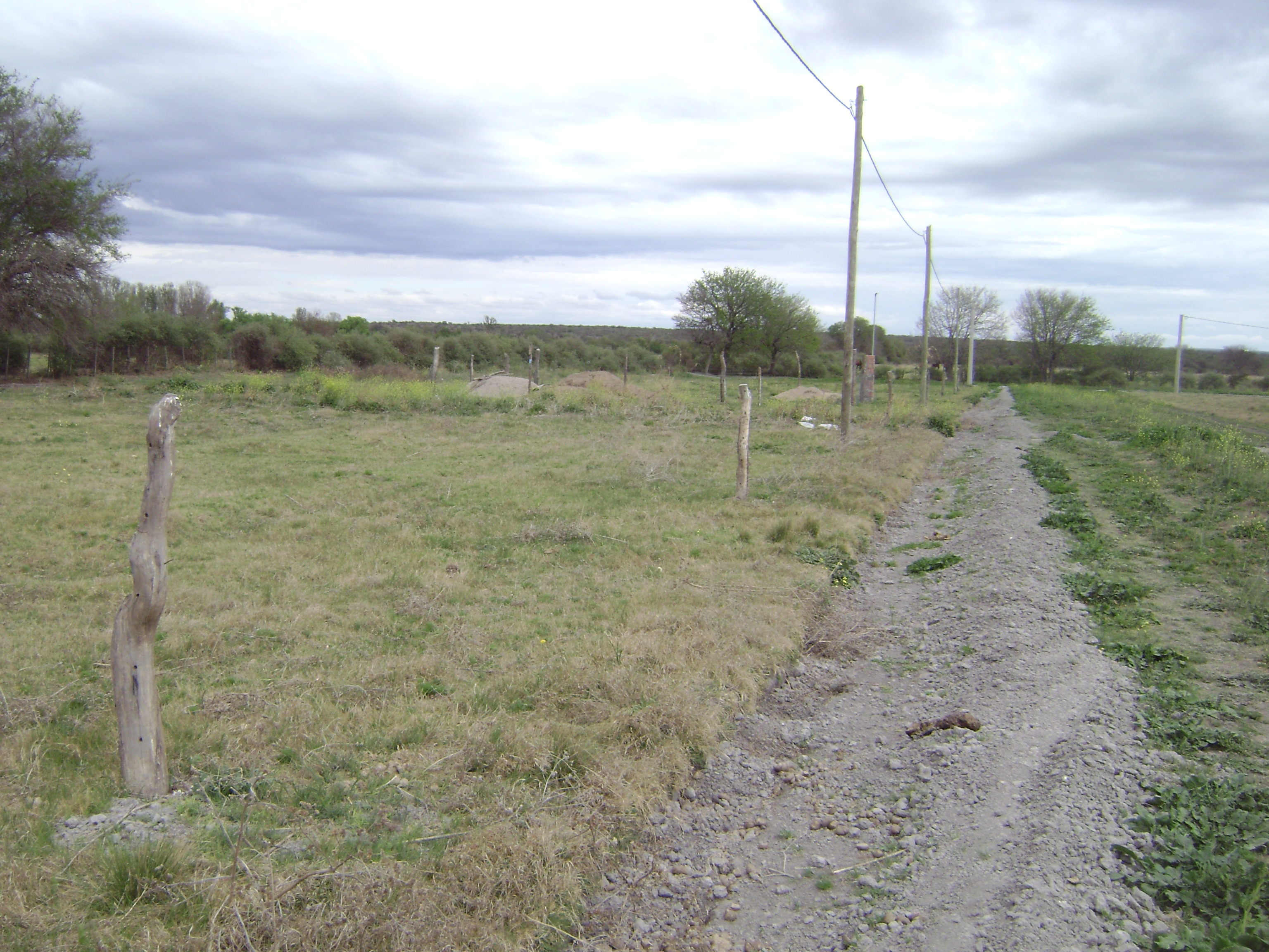 Santa Rosa Del Conlara · Junín — foto 3