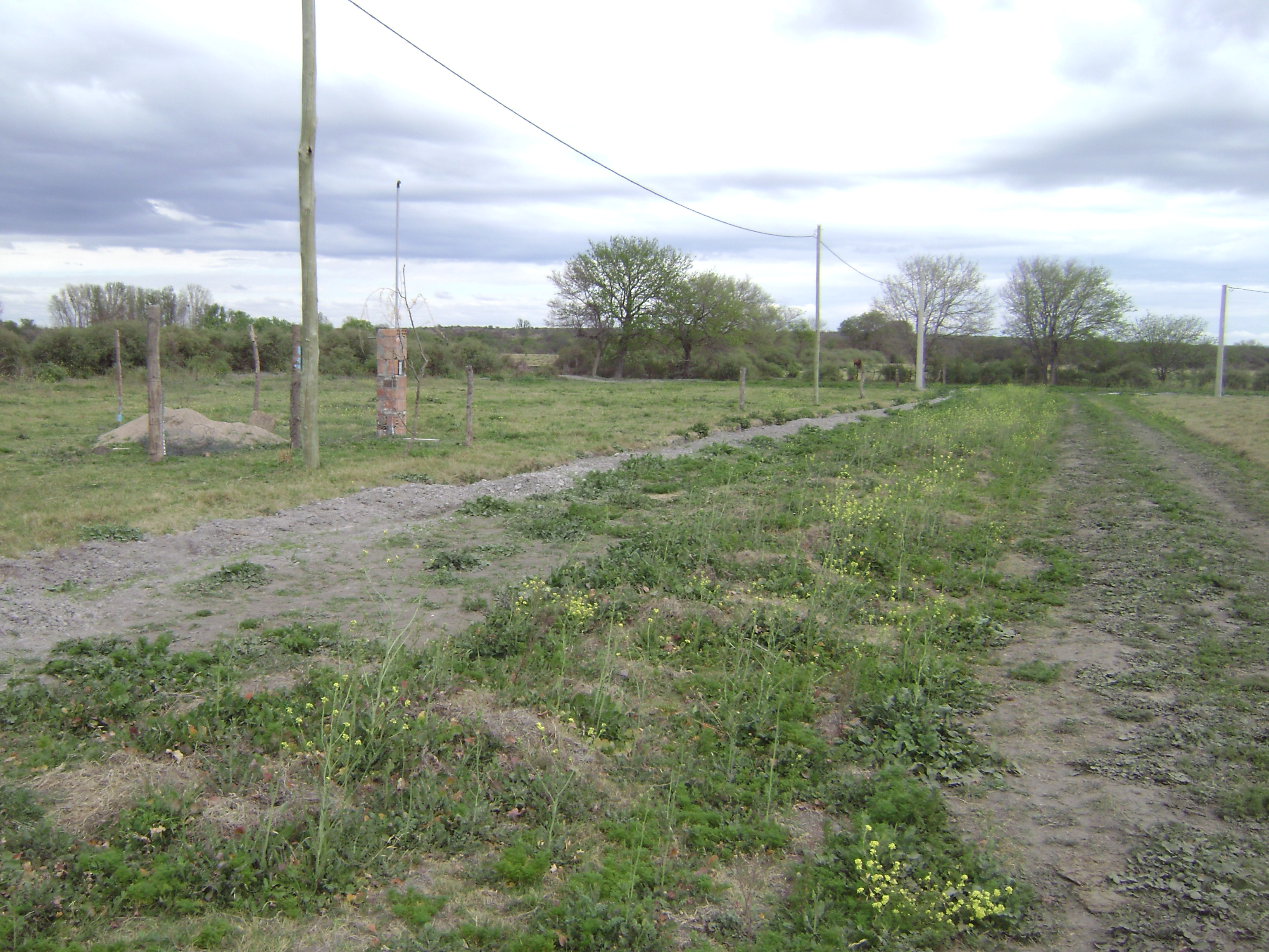 Santa Rosa Del Conlara · Junín — foto 7