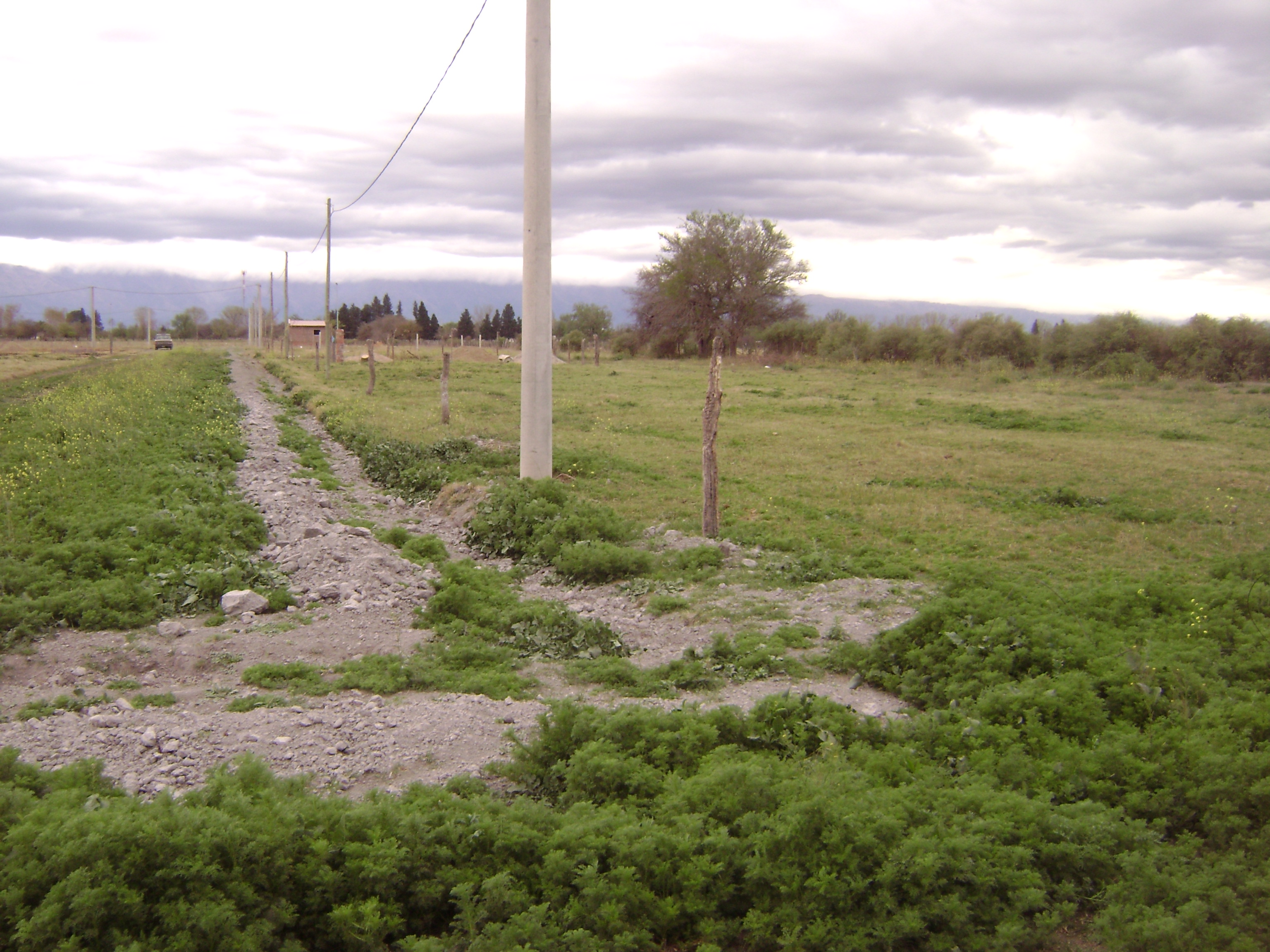 Santa Rosa Del Conlara · Junín — foto 8