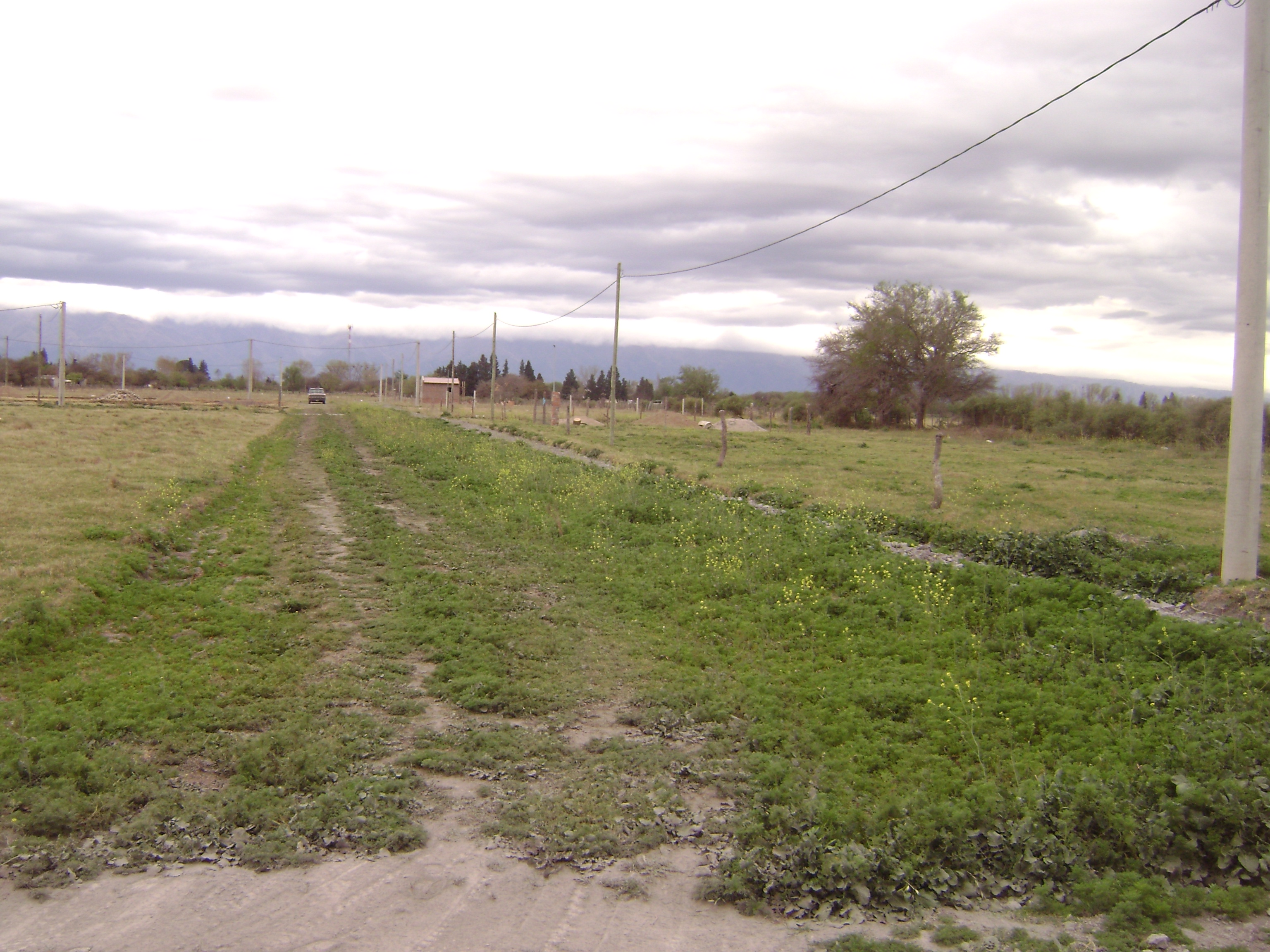 Santa Rosa Del Conlara · Junín — foto 9