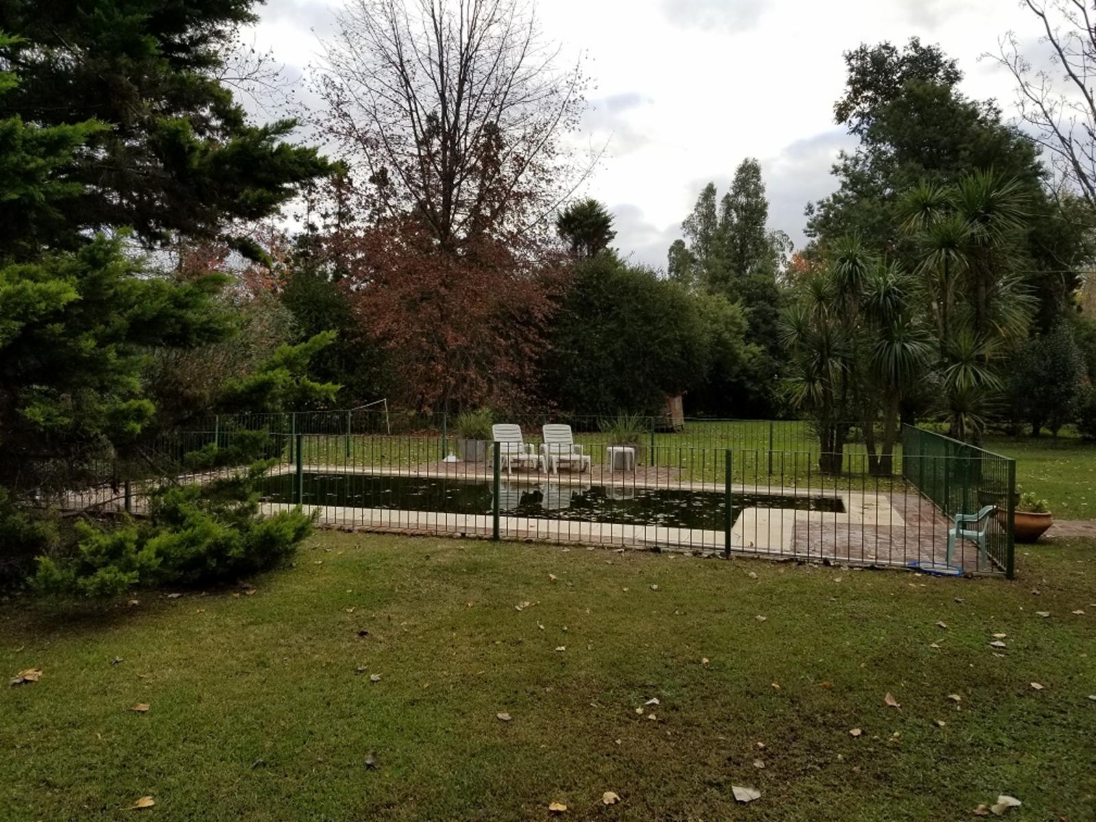 La Tradición · Moreno — foto 10