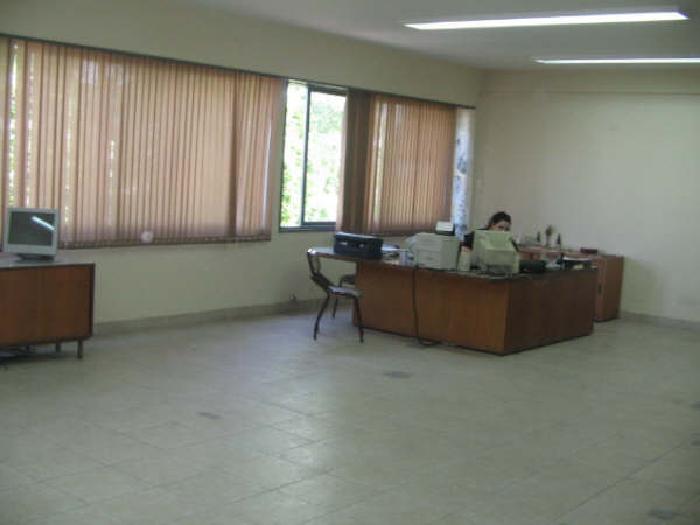SAN PEDRO 3943 · Floresta — foto 3
