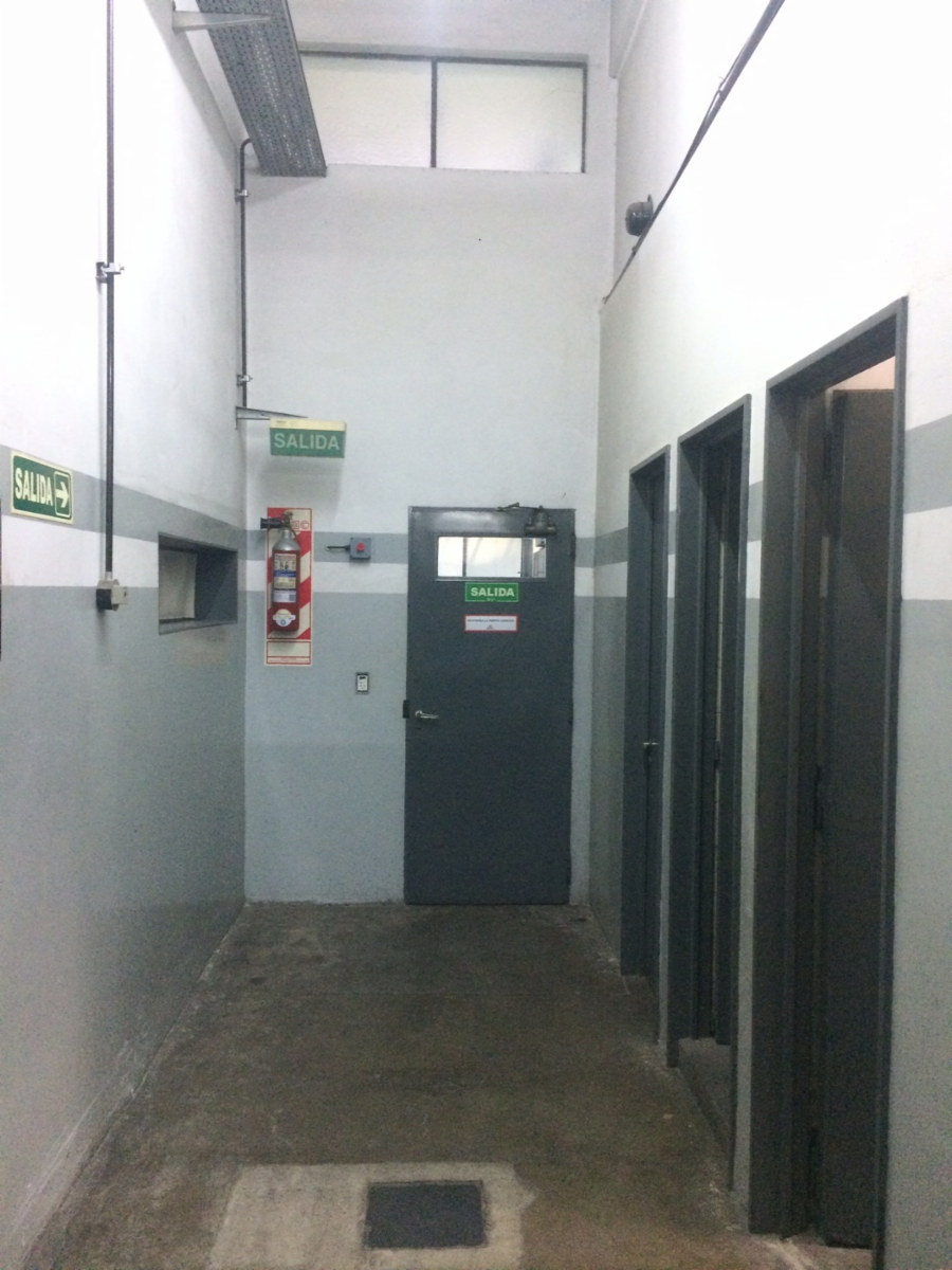 SAN PEDRO 3943 · Floresta — foto 25