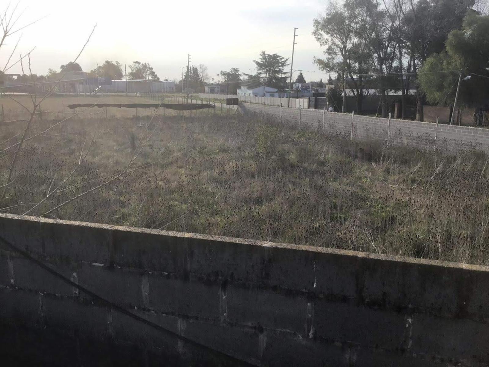 Virrey del Pino, Km 46. · La Matanza — foto 3