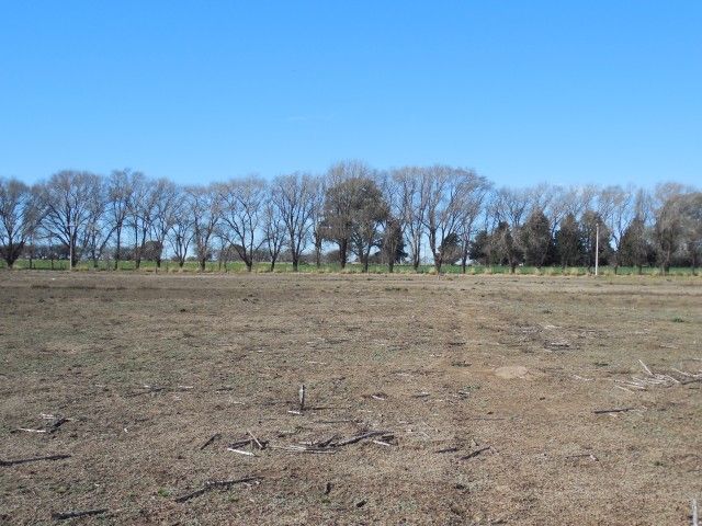 Ataliva Roca · Atreucó — foto 3