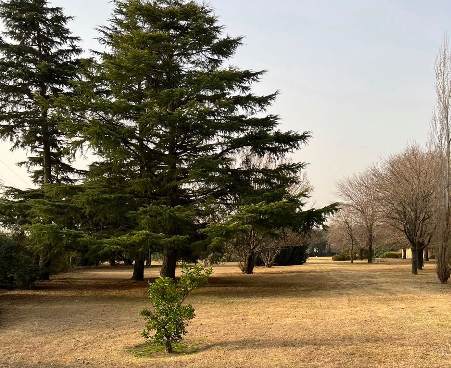 Ruta 33 · General Villegas — foto 6