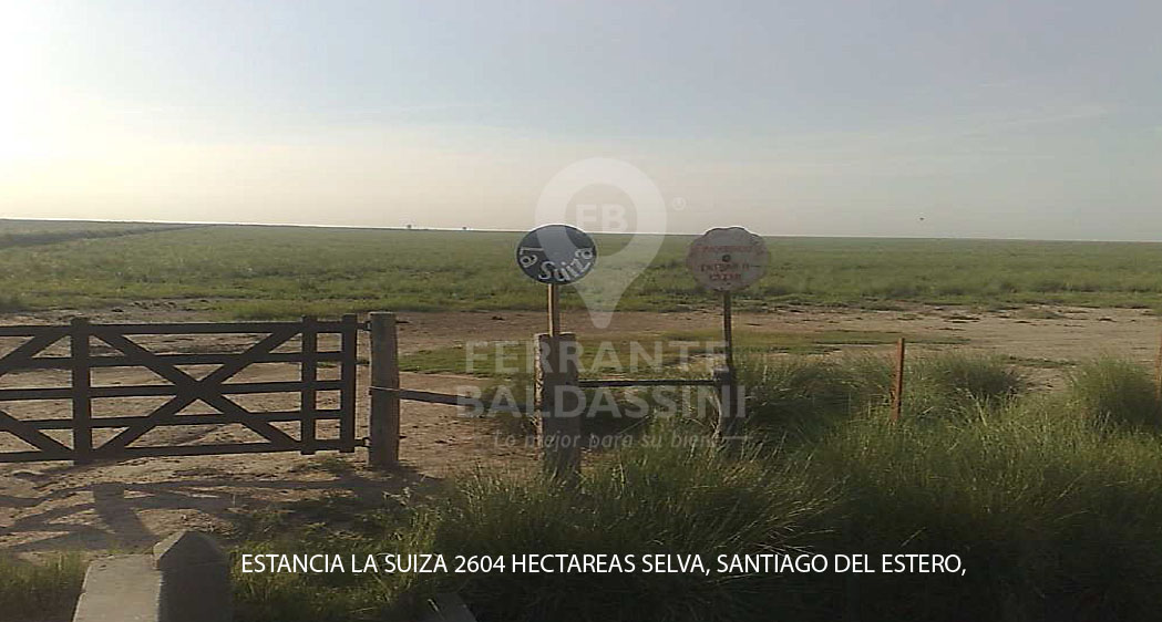 Estancia la Suiza - 2604 Hras. Santiago del Estero - GALPON Y TINGLADOS PARA HERRAMIENTAS. INSTALACIONES GANADERAS COMPLETAS (MANGA, CORRALES, CARGADOR) 