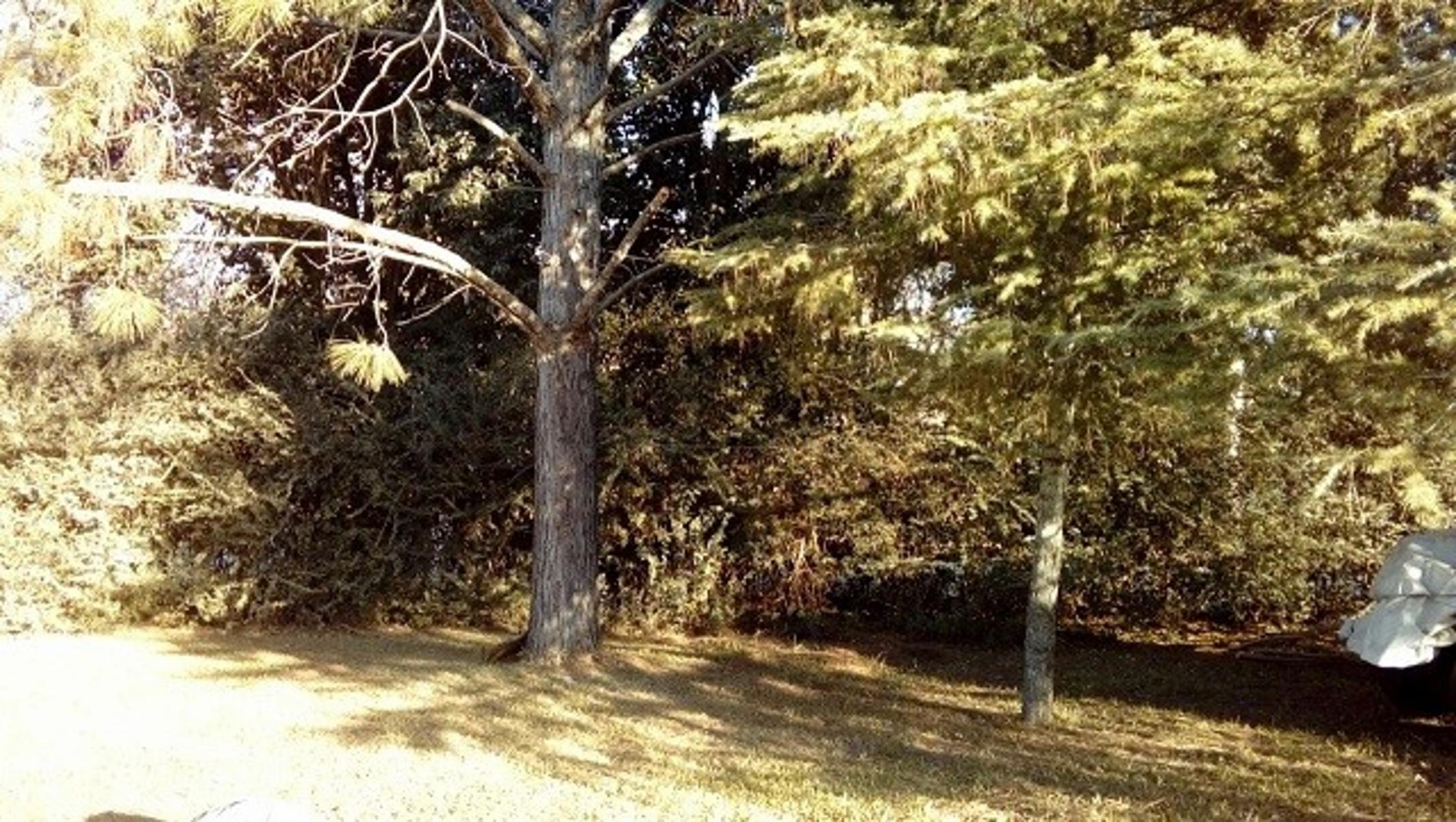 EL HORNERO - VALLE DE ANISACATE · Santa María — foto 3