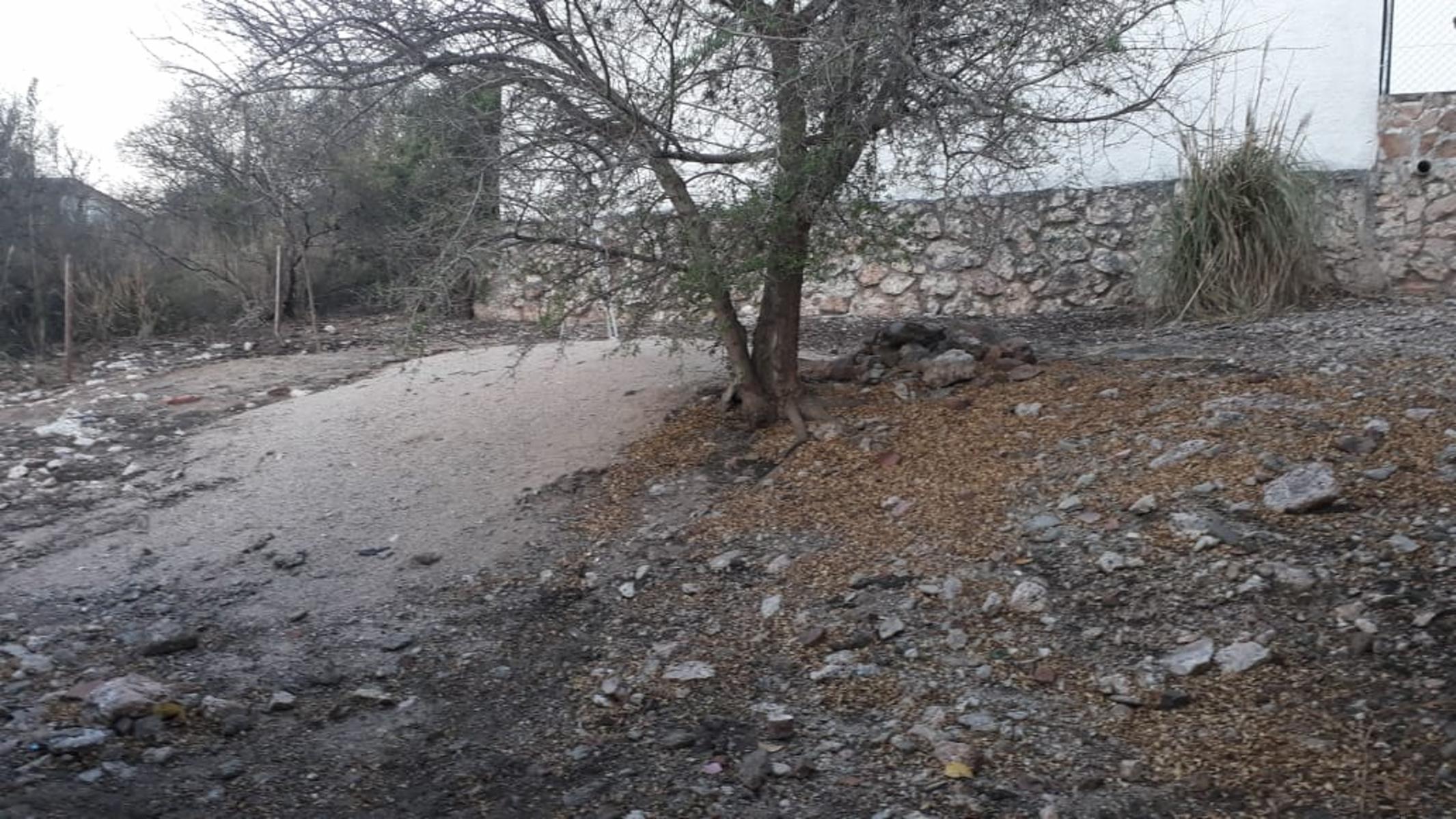 Orion · Punilla — foto 6