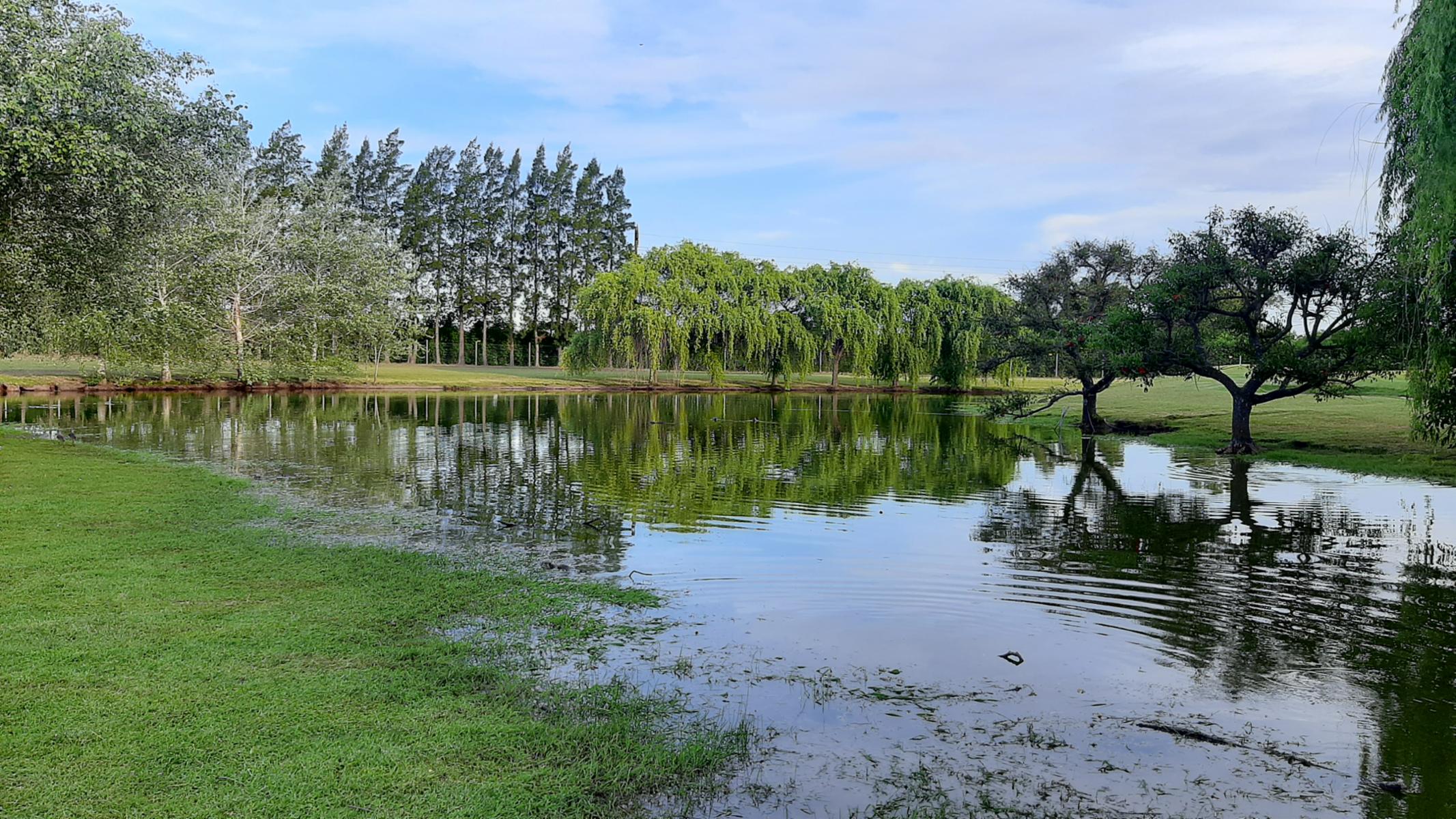 Club de Campo Las Cañuelas · Cañuelas — foto 34