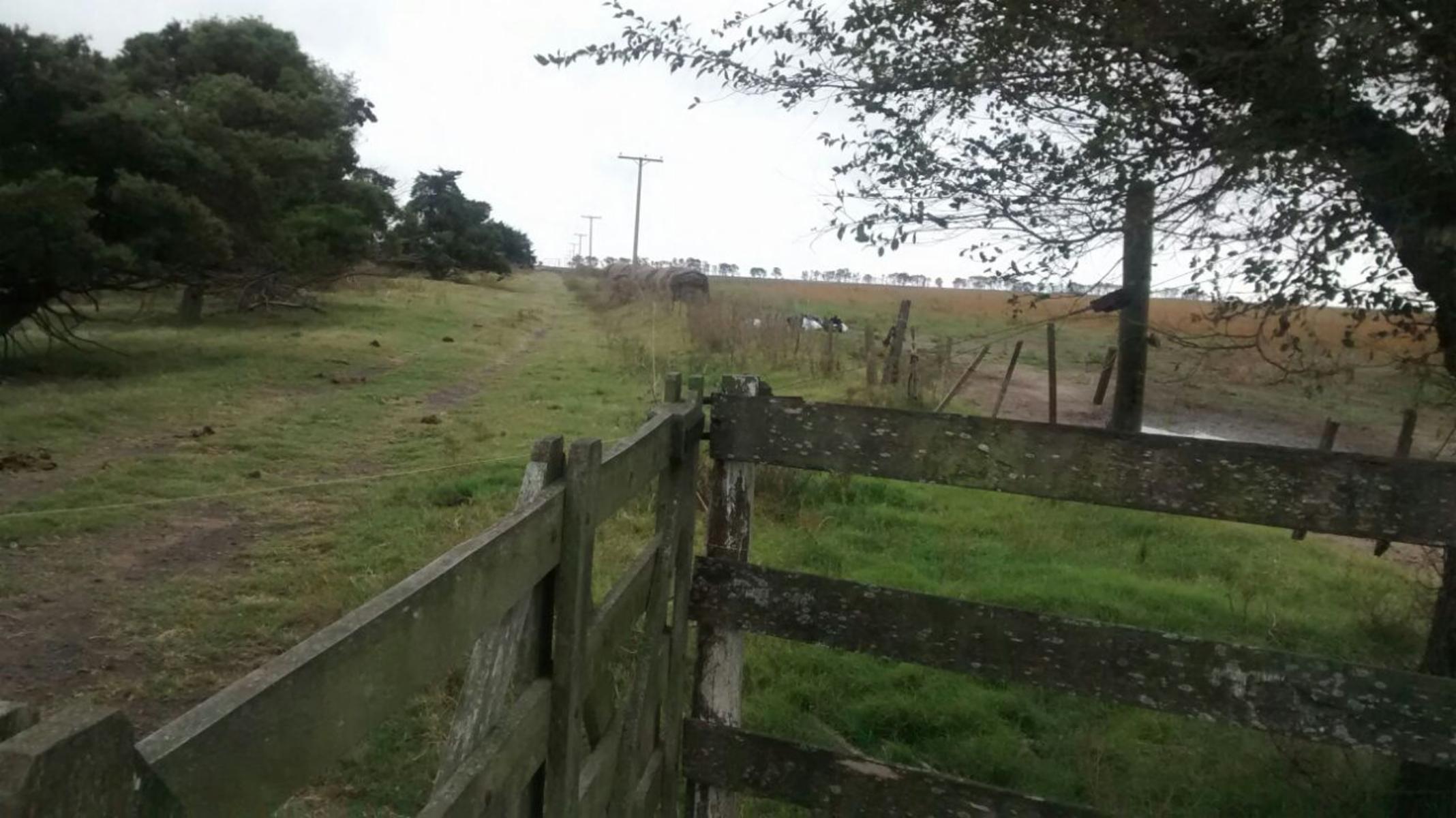 Campo mixto con instalaciones preparadas para tambo