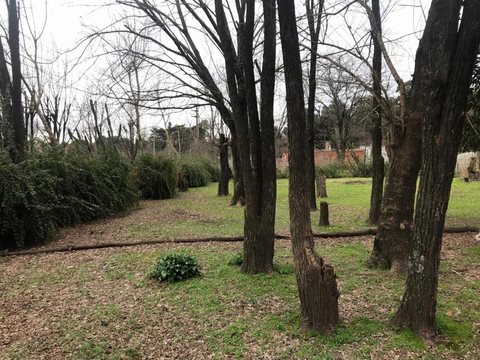 Don Bosco 8300 · Moreno — foto 4