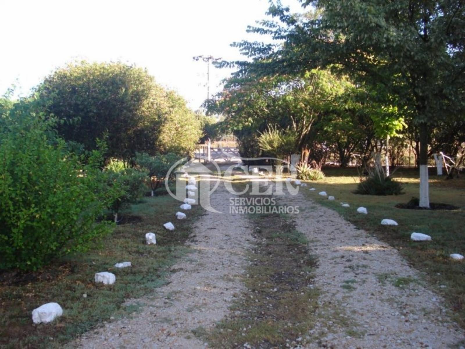 RUTA 88 · Balcarce — foto 12