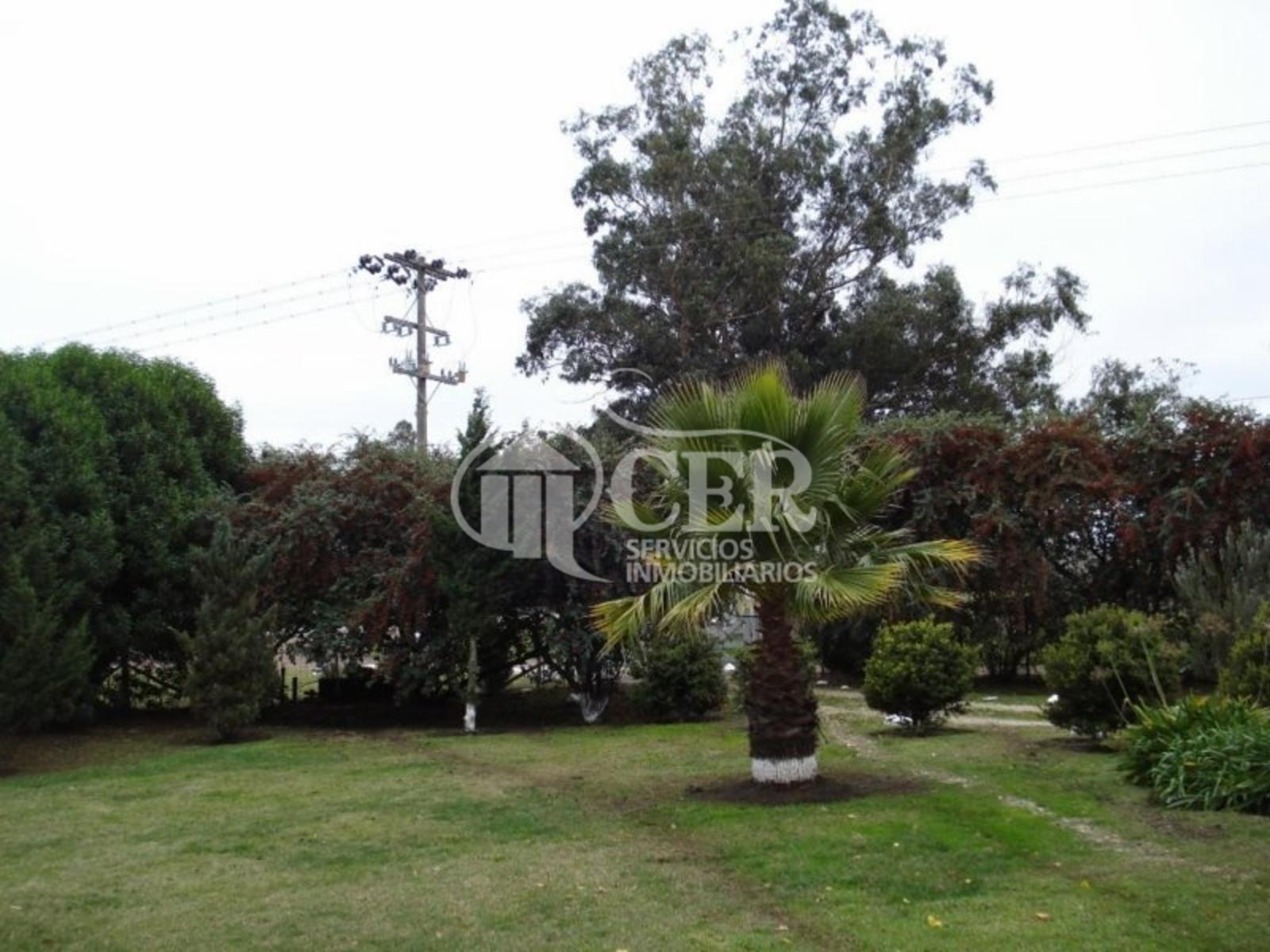 RUTA 88 · Balcarce — foto 16
