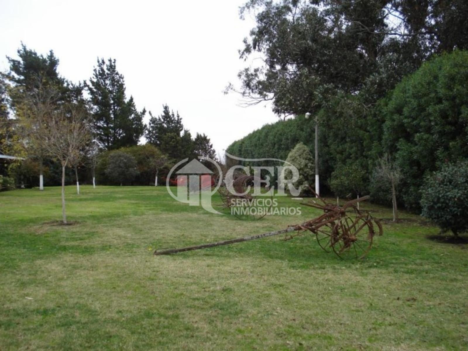 RUTA 88 · Balcarce — foto 17