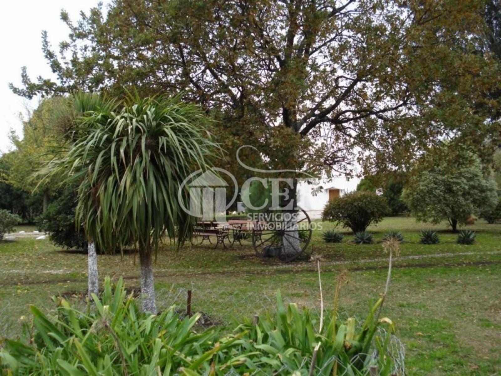 RUTA 88 · Balcarce — foto 3