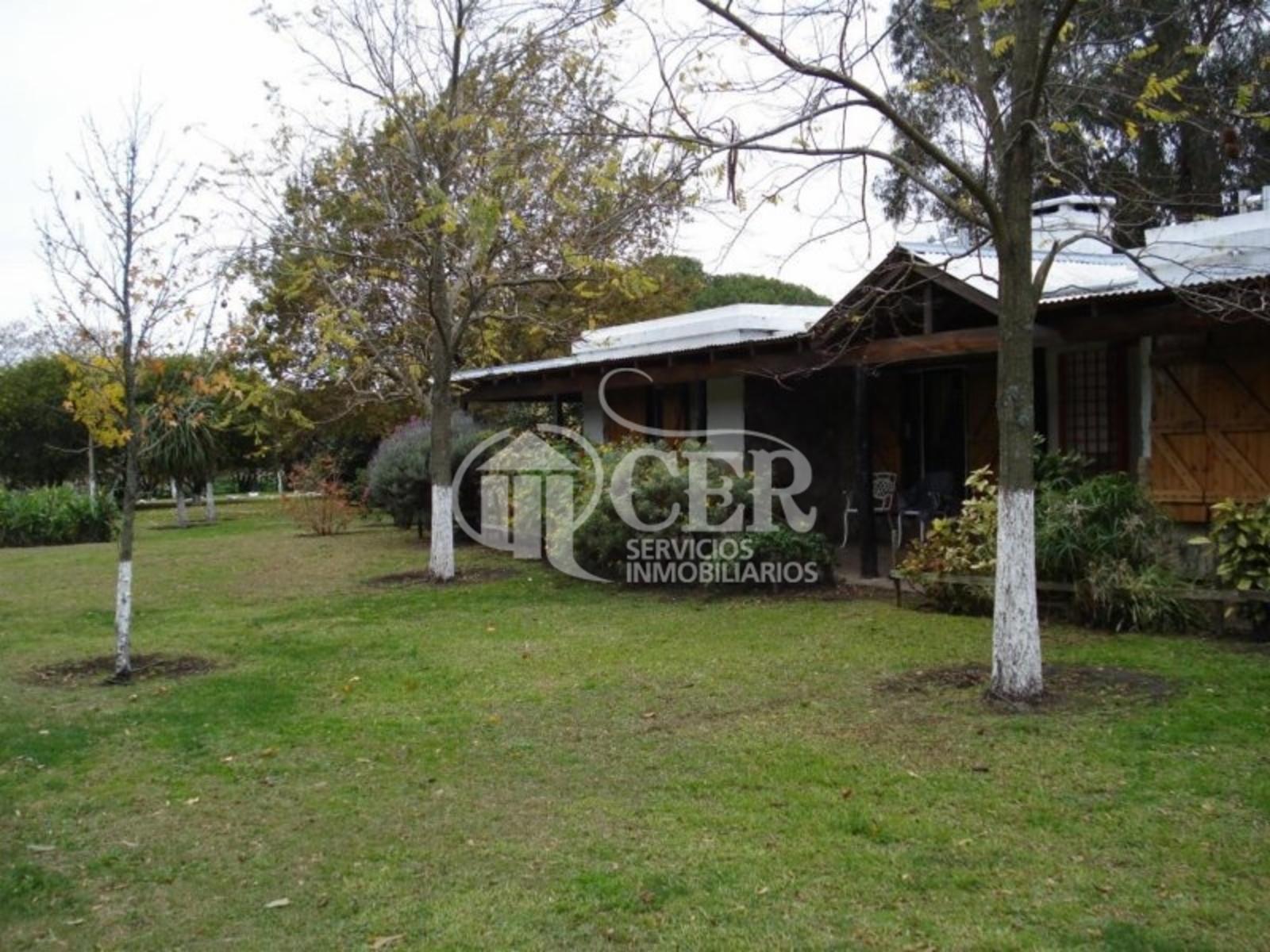 RUTA 88 · Balcarce — foto 6