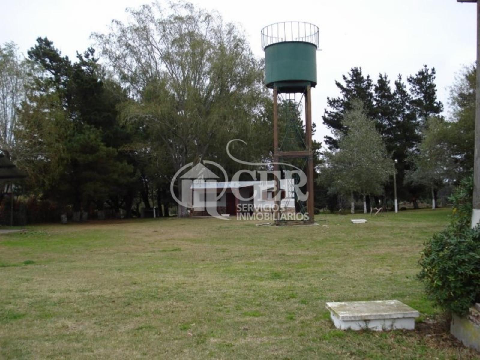 RUTA 88 · Balcarce — foto 8