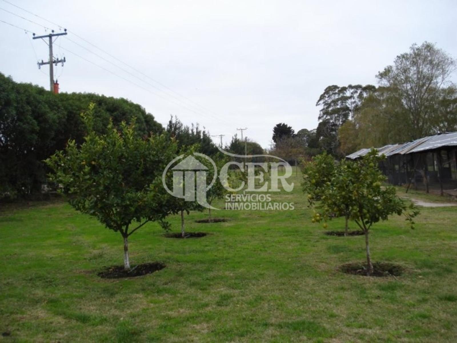 RUTA 88 · Balcarce — foto 9