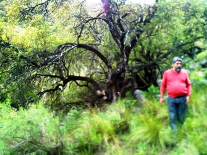 Ruta 1 · Chacabuco — foto 3