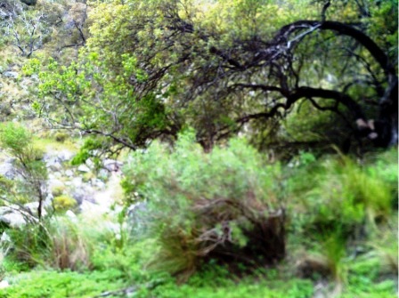 Ruta 1 · Chacabuco — foto 4