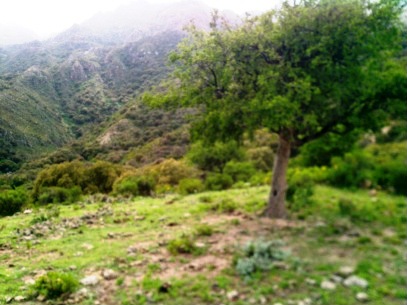 Ruta 1 · Chacabuco — foto 5