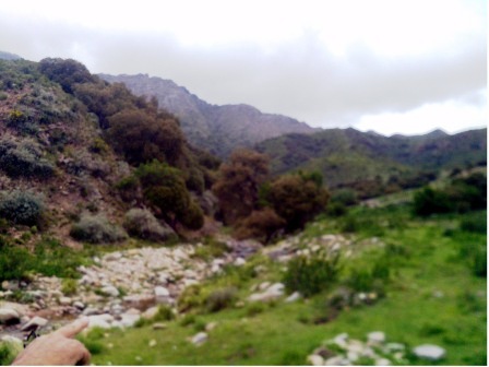 Ruta 1 · Chacabuco — foto 7