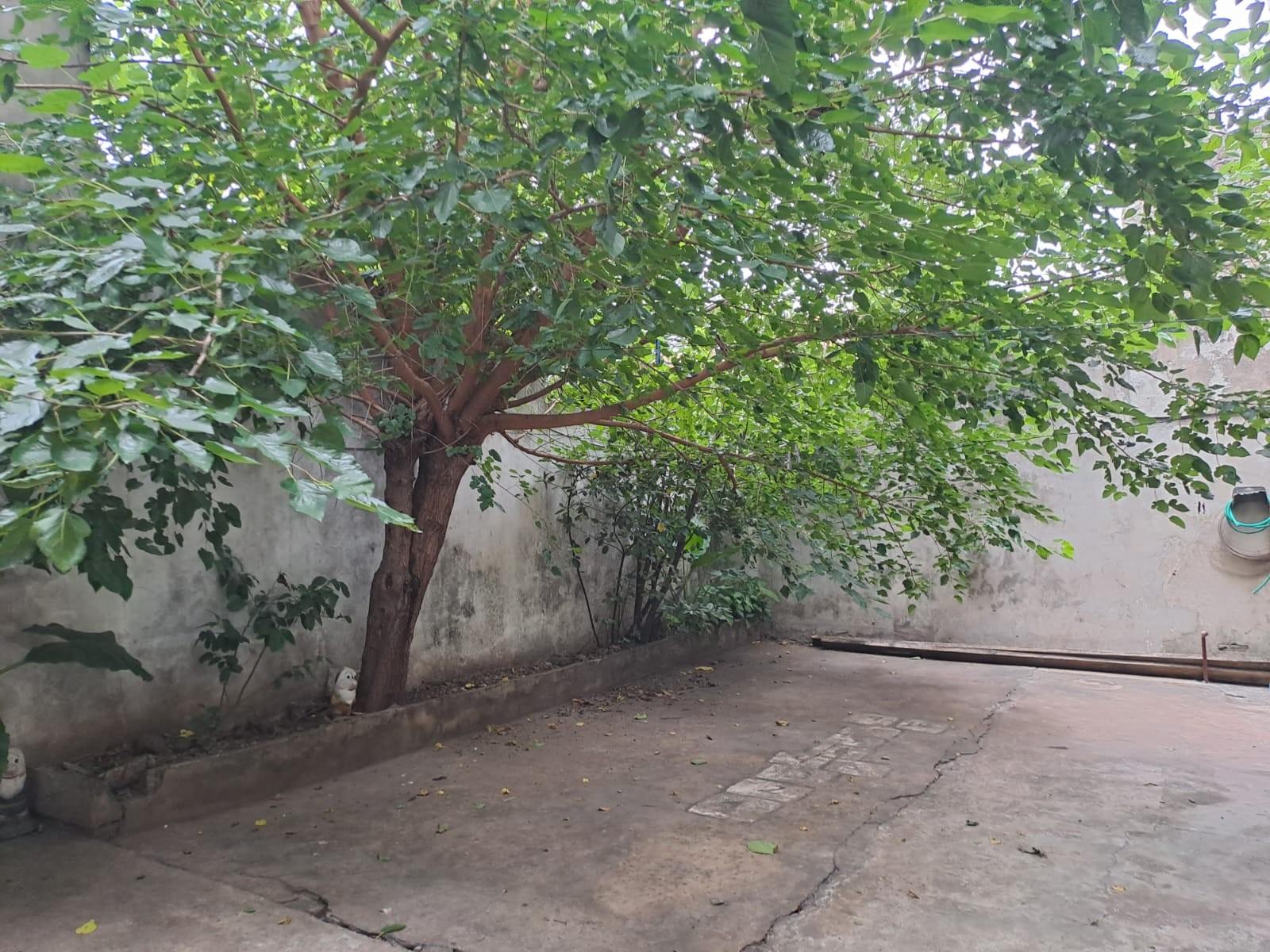 ALTOLAGUIRRE AL 900 · La Matanza — foto 5