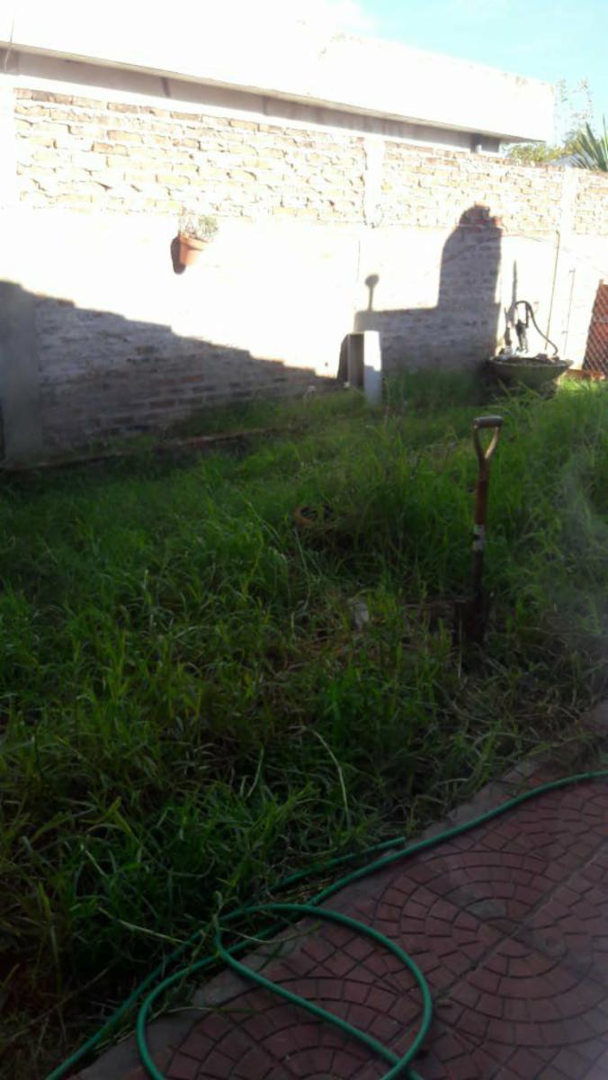 PARAMARIBO · Moreno — foto 4