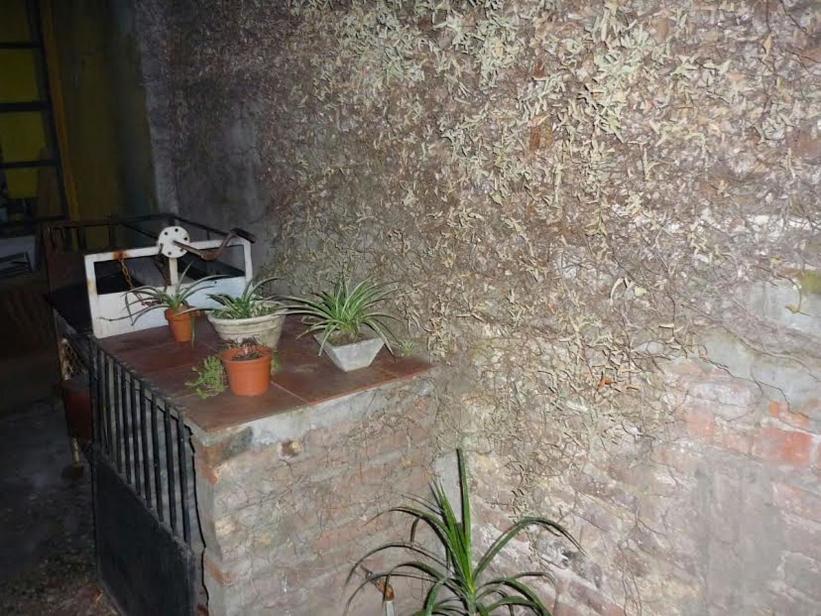 AMEGUINO · San Miguel — foto 16
