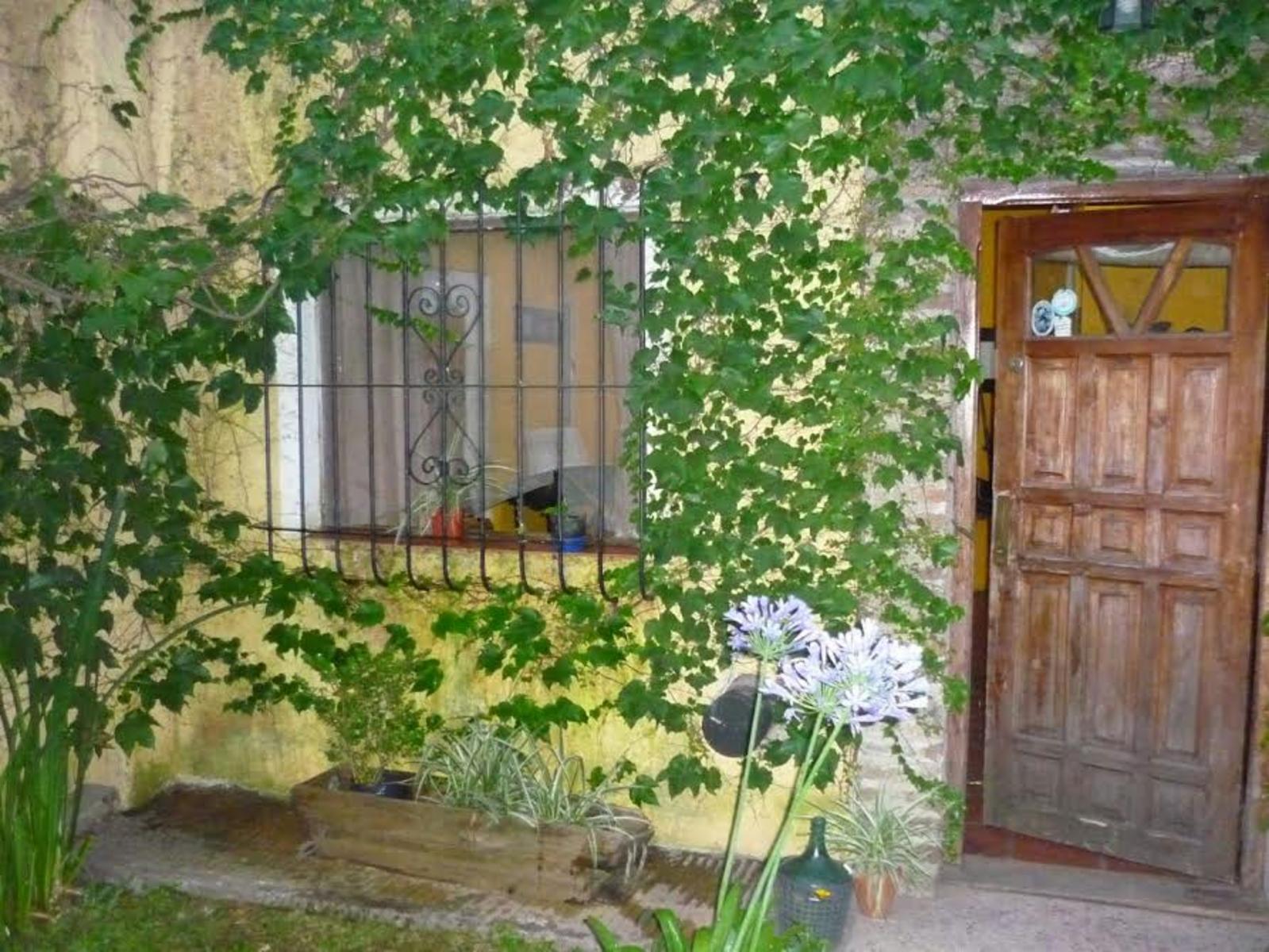 AMEGUINO · San Miguel — foto 17