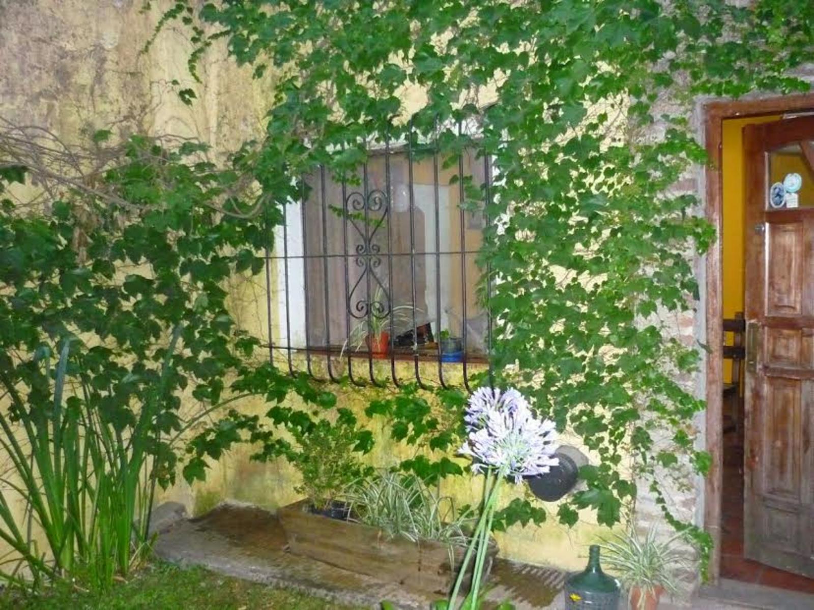 AMEGUINO · San Miguel — foto 6