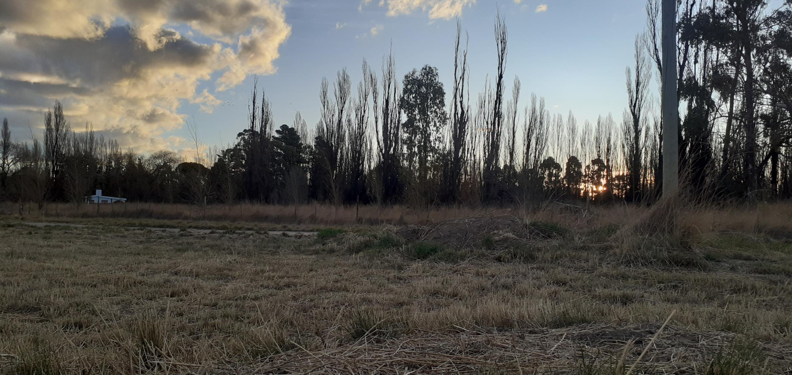 TERRENO EN BARRIO PARQUE