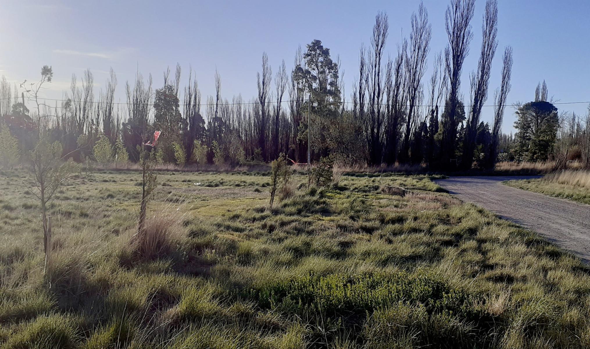 Gobernador Costa y Ruta 7 · Rawson — foto 8