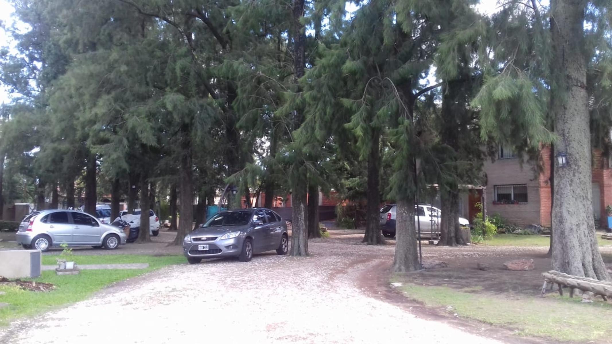 Malabia al 1100 · Ituzaingó — foto 8