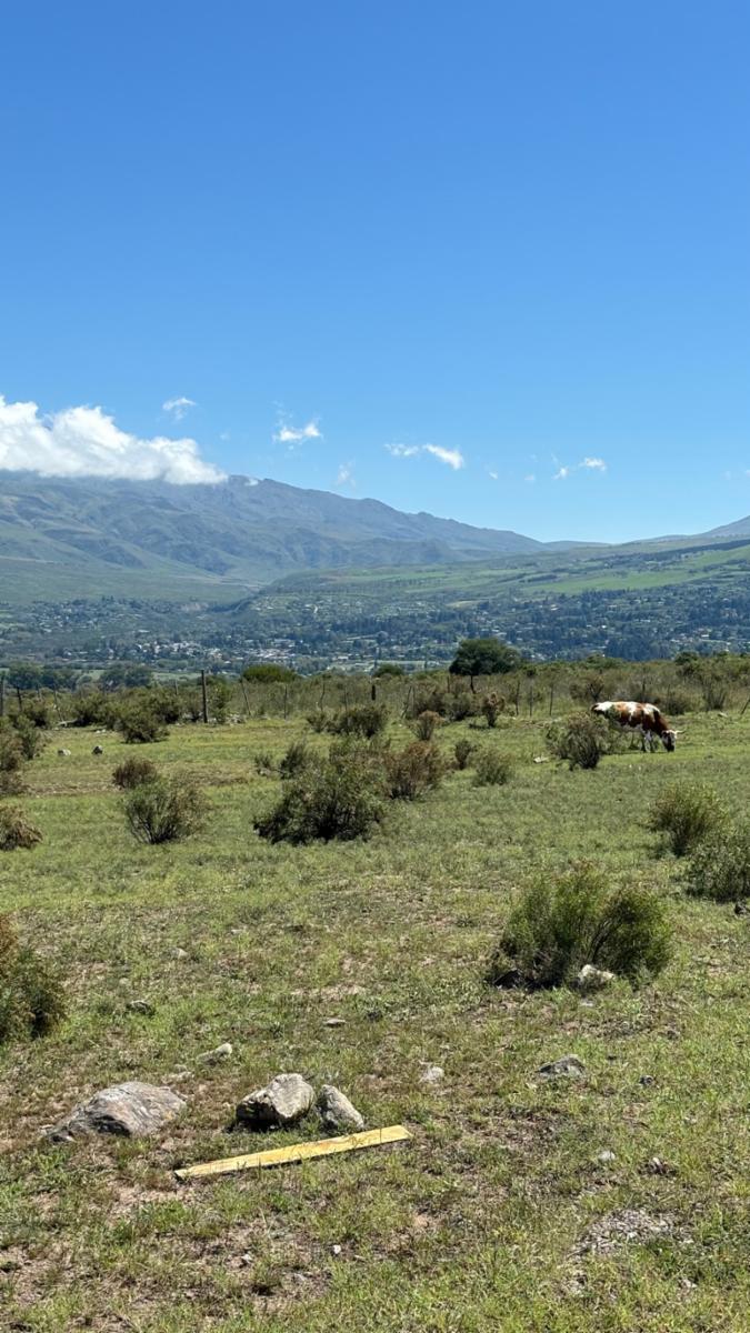 EN VENTA LOTES EN LA ALMUDENA TAFI DEL VALLE · Tafí del Valle — foto 12
