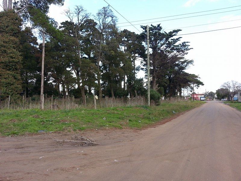 3 Lotes en block 2.050 m2. Escriturados. Ideal galpón o casaquinta. Se escuchan propuestas. Facilidades.
