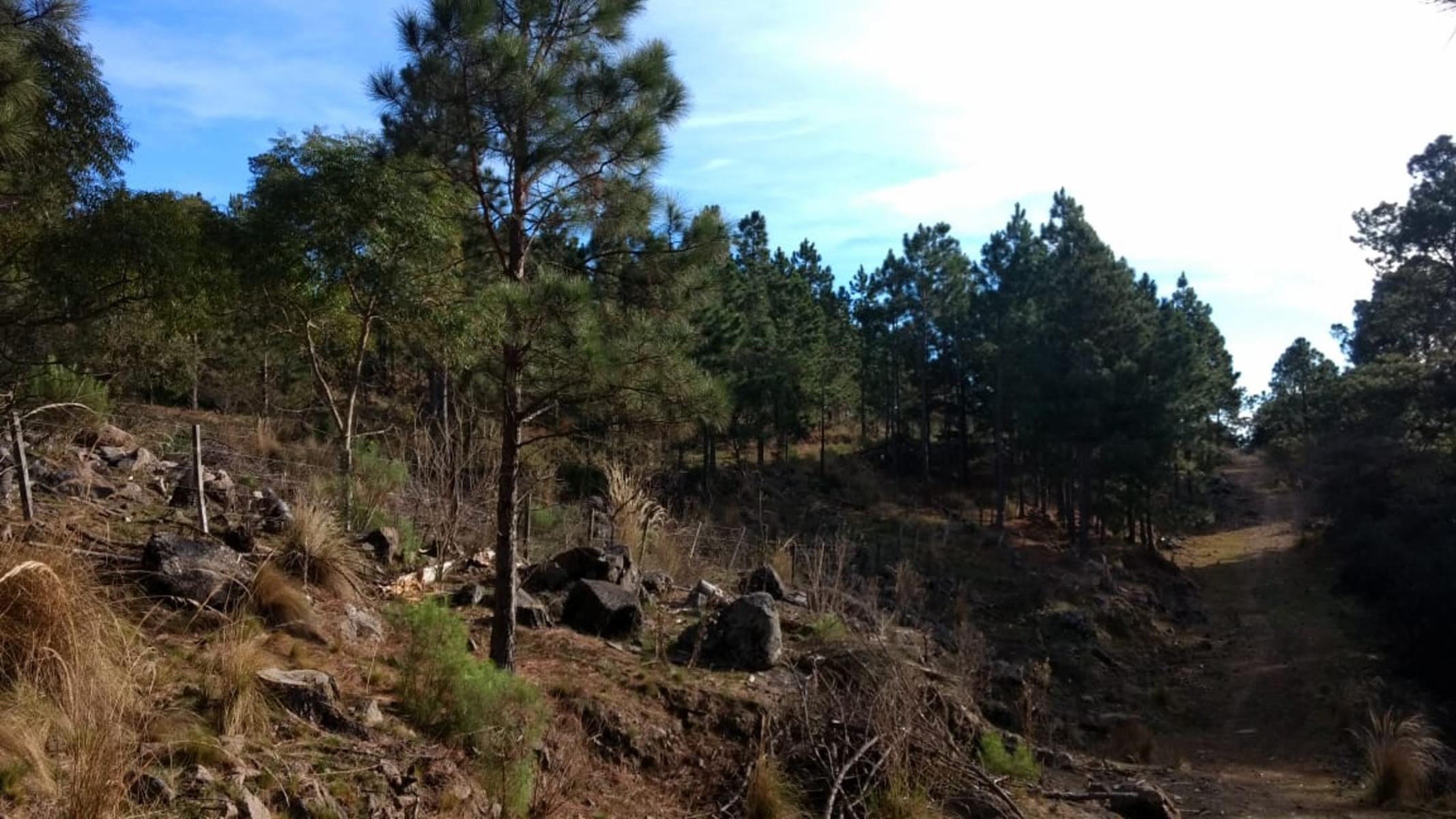 RUTA 109 · Calamuchita — foto 3