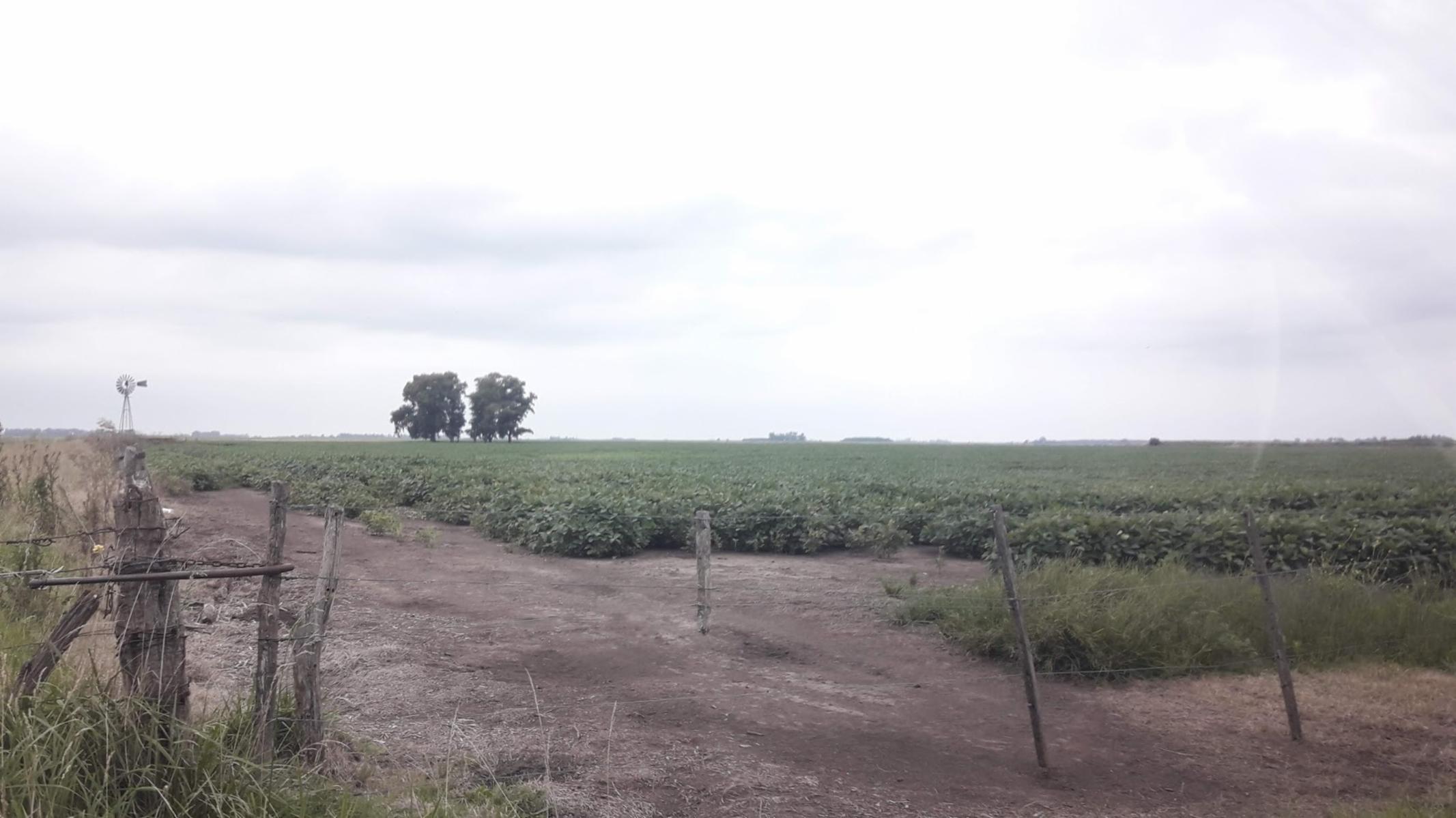 MAURICIO HIRSH · Carlos Casares — foto 3