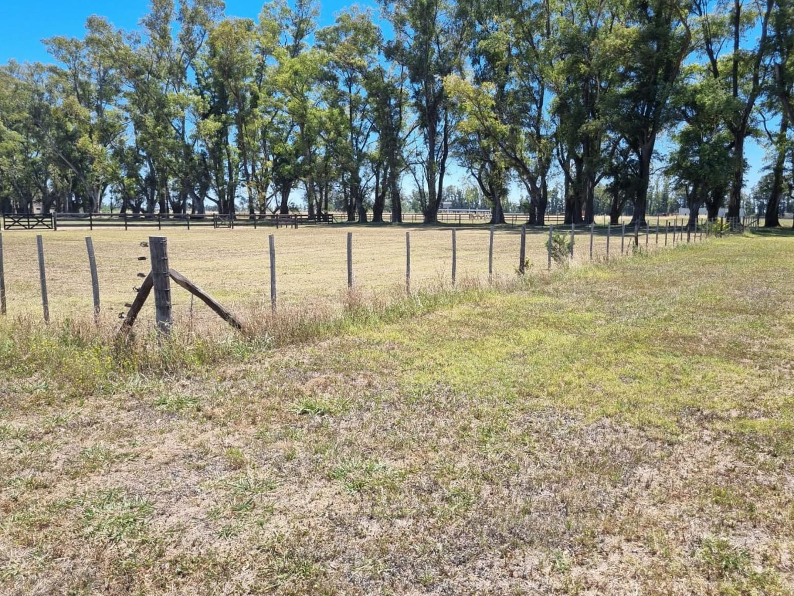 KM 14,5 VILLA RUIZ · San Andrés De Giles — foto 4