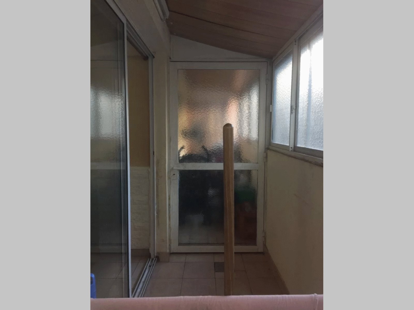 Bolivia 100 · Floresta — foto 10