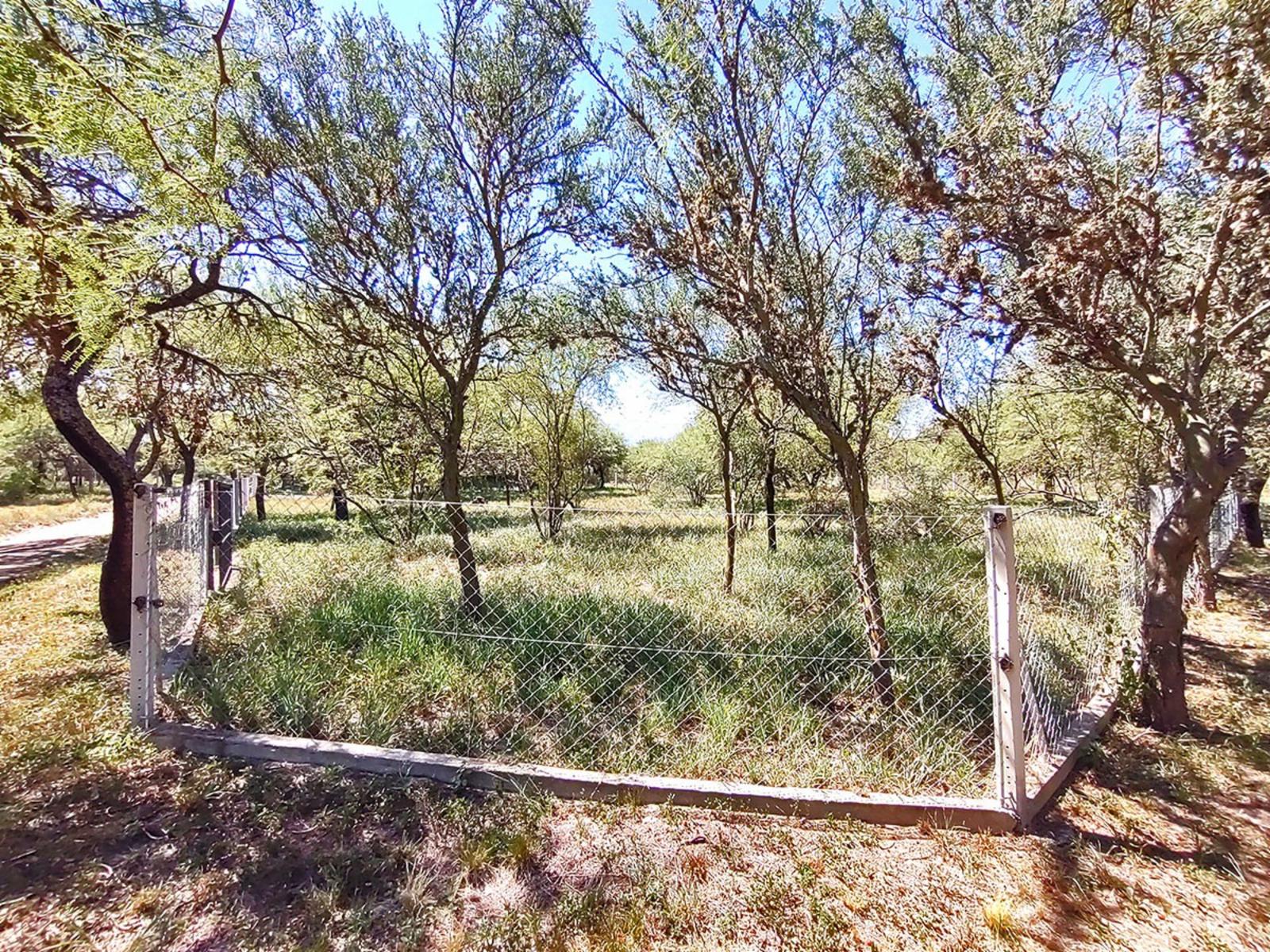 ver mapa · Junín — foto 6