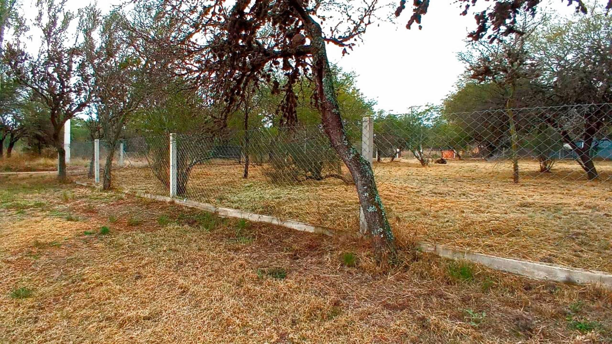 ver mapa · Junín — foto 9