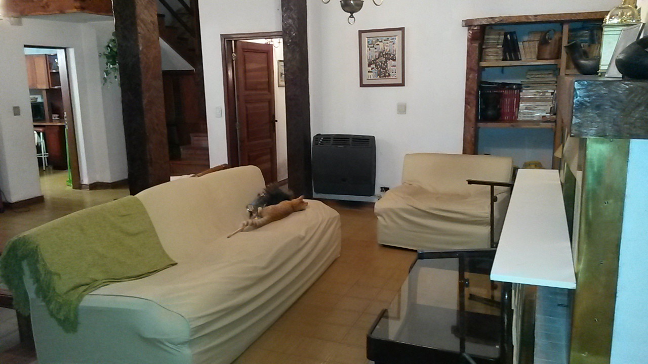 Corrientes 833 · Calamuchita — foto 15