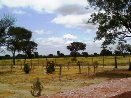 Ruta 146 Km 5 · La Capital — foto 11