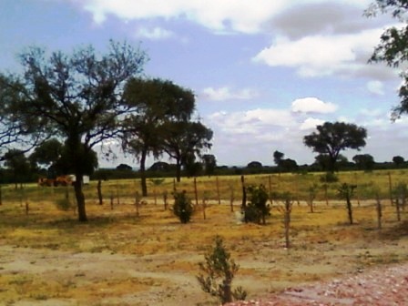Ruta 146 Km 5 · La Capital — foto 12