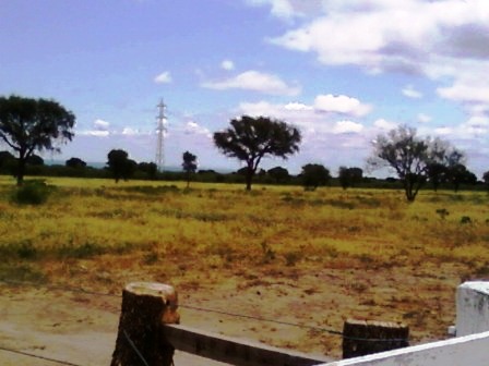 Ruta 146 Km 5 · La Capital — foto 13