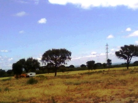 Ruta 146 Km 5 · La Capital — foto 14