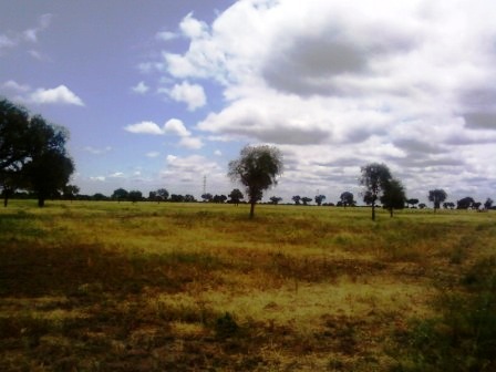 Ruta 146 Km 5 · La Capital — foto 15
