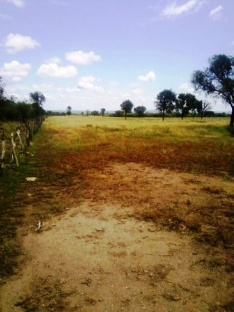 Ruta 146 Km 5 · La Capital — foto 16